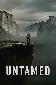 Untamed