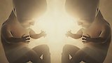 Human Genesis