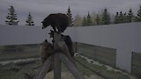 Goodbye Campers