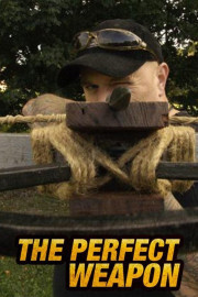 Perfect Weapon
