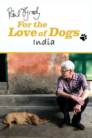 Paul O'Grady: For The Love Of Dogs - India